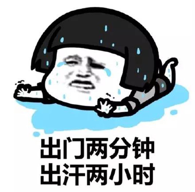 科目二考试动态解读：驾考路上的里程碑
